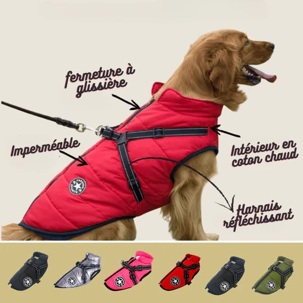 Manteau hiver pour Chien avec harnais intégré - "Confort et Sécurité"