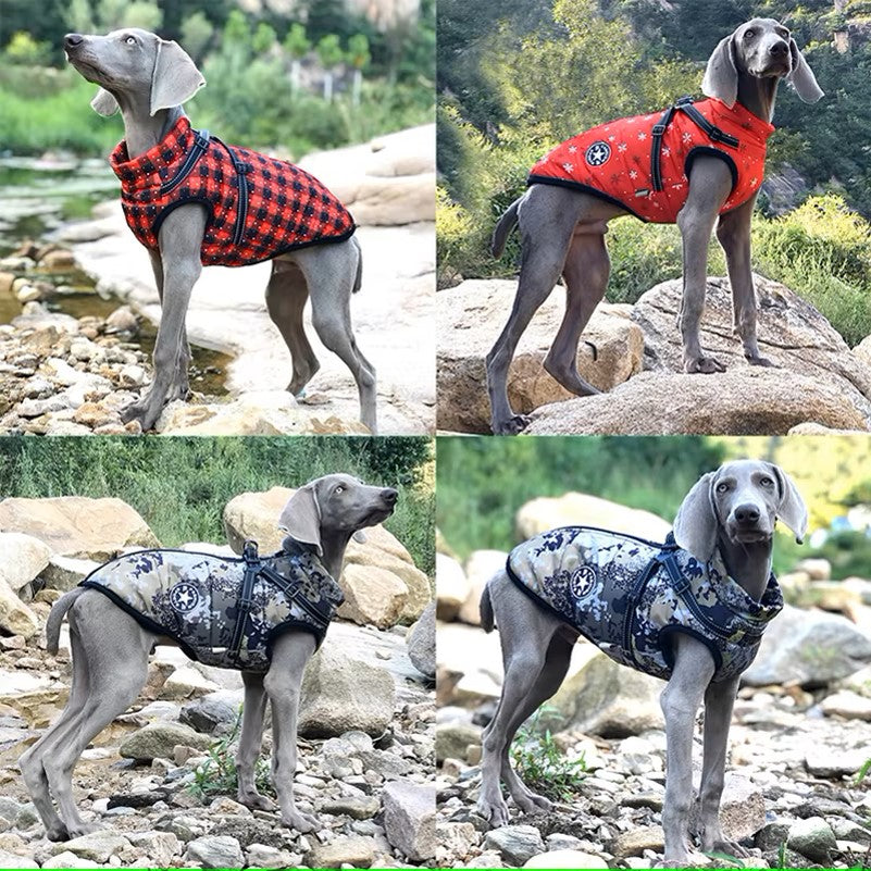 Manteau hiver pour Chien avec harnais intégré - "Confort et Sécurité"