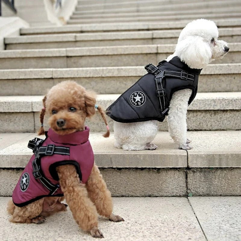 Manteau hiver pour Chien avec harnais intégré - "Confort et Sécurité"